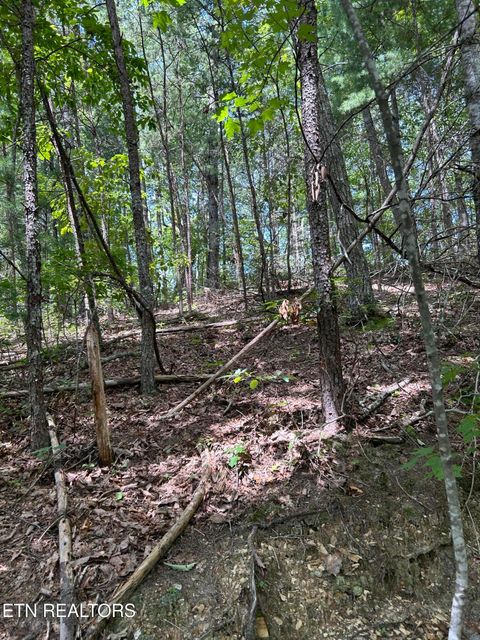 Tiny photo for 0 Wakeman Way, Cosby, TN 37722 (MLS # 1313588)
