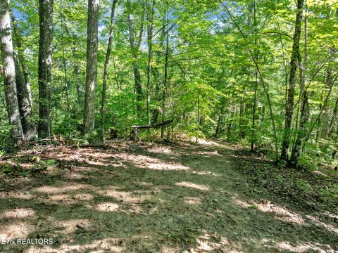 Tiny photo for 0 Wakeman Way, Cosby, TN 37722 (MLS # 1313588)
