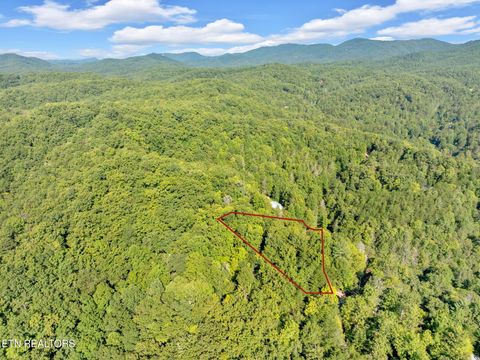 Tiny photo for 0 Wakeman Way, Cosby, TN 37722 (MLS # 1313588)