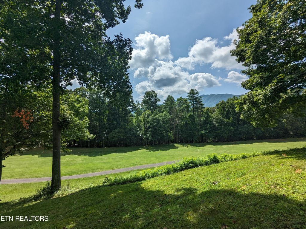 Photo of 735739 Hunters Run Rd, Townsend, TN 37882 (MLS # 1271873)