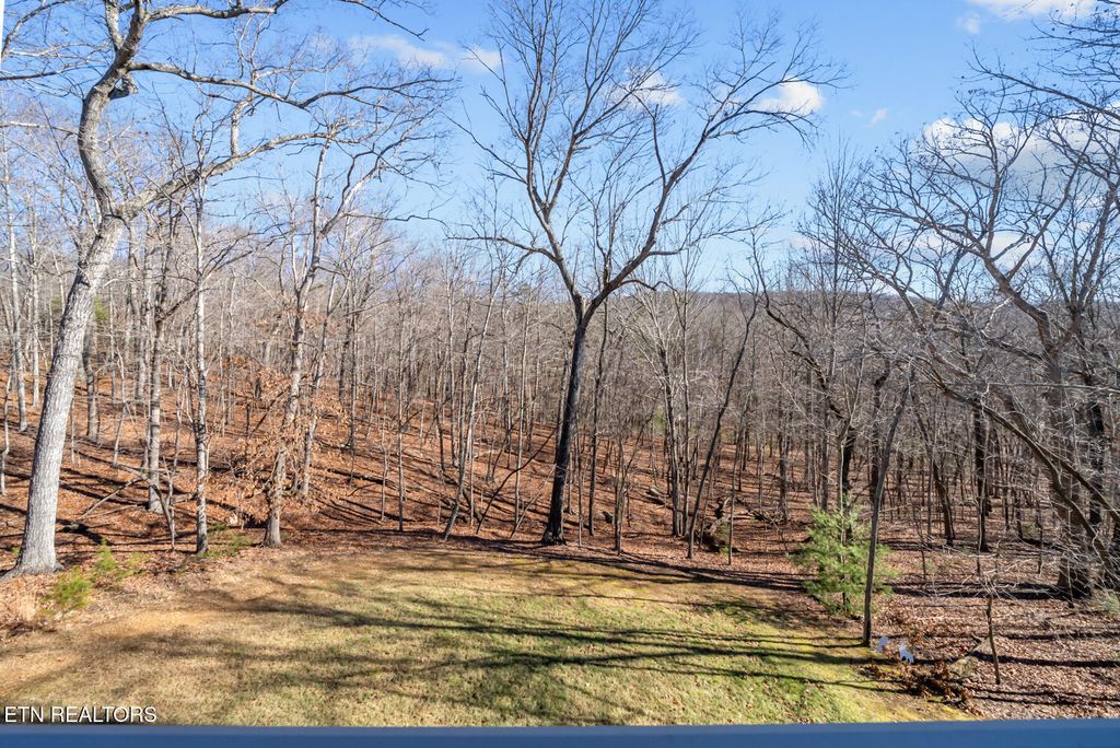 Photo of 15 Chatham Court, Fairfield Glade, TN 38558 (MLS # 1315619)