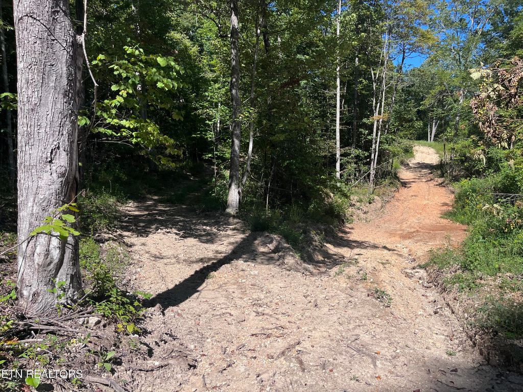 Photo of Little Sycamore Rd, Tazewell, TN 37879 (MLS # 1275567)