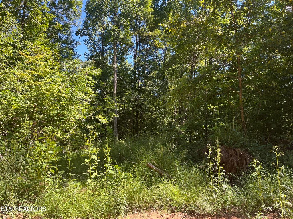 Photo of Little Sycamore Rd, Tazewell, TN 37879 (MLS # 1275567)