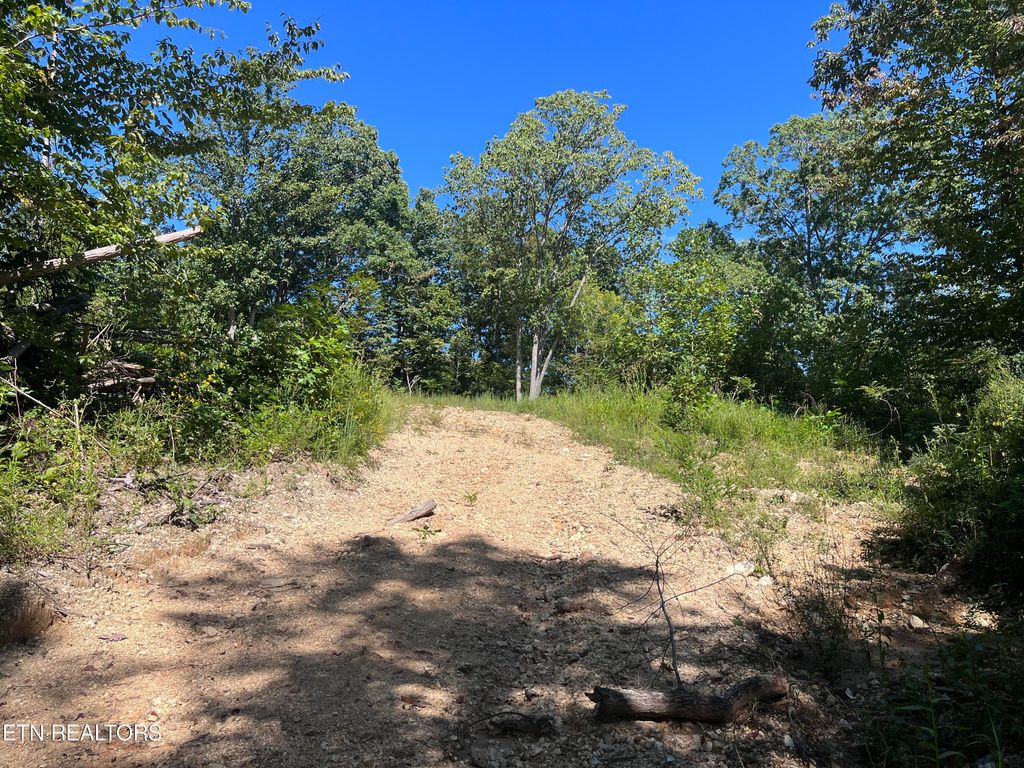Photo of Little Sycamore Rd, Tazewell, TN 37879 (MLS # 1275567)