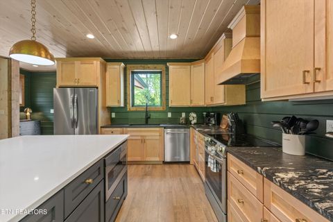 Tiny photo for 906 Saddle Creek Way, Sevierville, TN 37862 (MLS # 1334717)