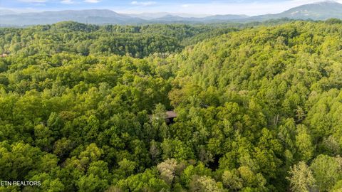 Tiny photo for 906 Saddle Creek Way, Sevierville, TN 37862 (MLS # 1334717)