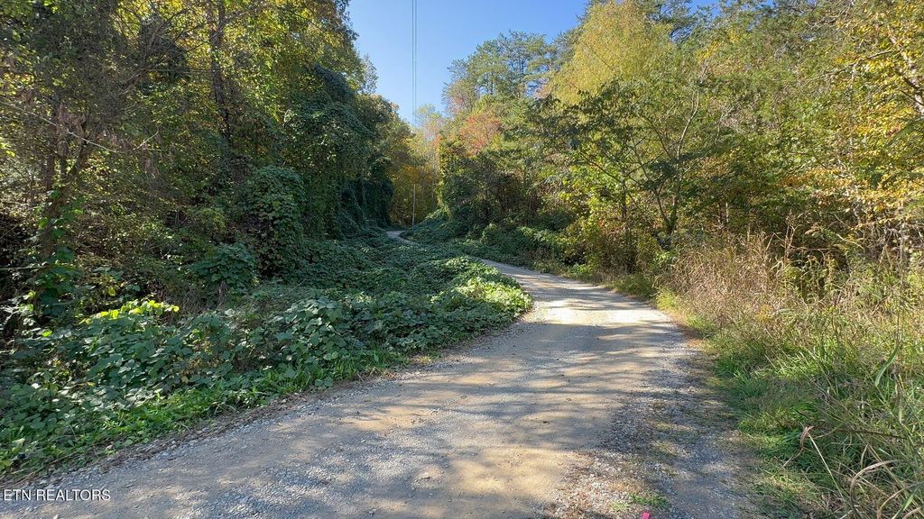 Photo of Padgett Mill Rd #Off, Cosby, TN 37722 (MLS # 1280658)