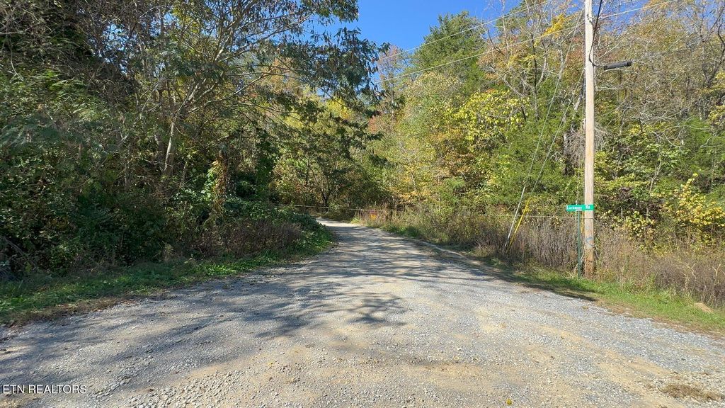 Photo of Padgett Mill Rd #Off, Cosby, TN 37722 (MLS # 1280658)