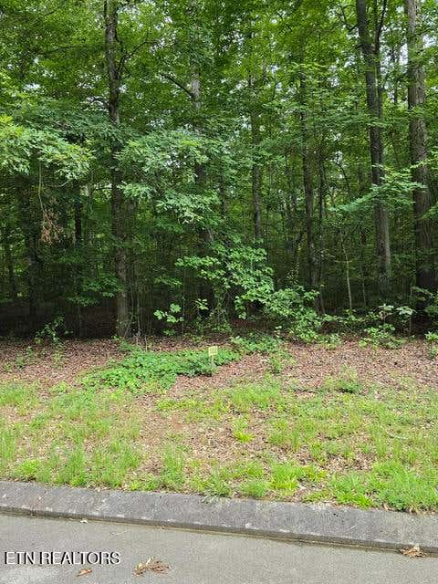 Photo of Lot 140 Lower Brow Rd, Dunlap, TN 37327 (MLS # 1348729)
