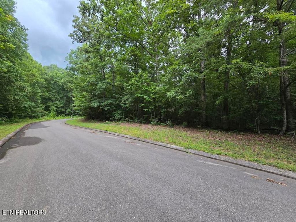 Photo of Lot 140 Lower Brow Rd, Dunlap, TN 37327 (MLS # 1348729)