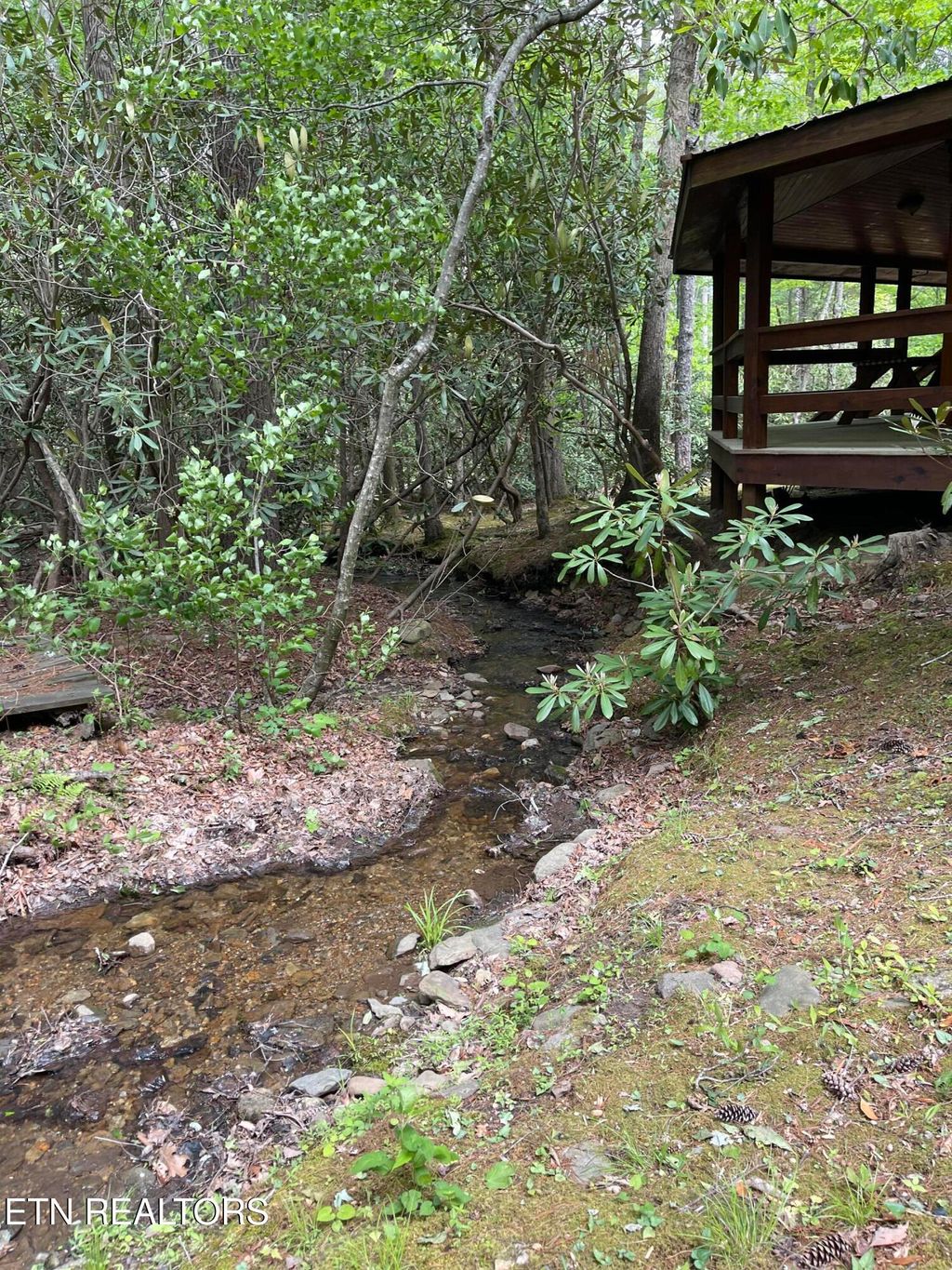 Photo of 113 Rivendell Lane, Tellico Plains, TN 37385 (MLS # 1338816)