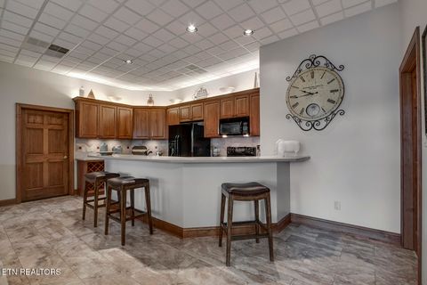 Tiny photo for 135 Big Water Drive, Vonore, TN 37885 (MLS # 1320188)