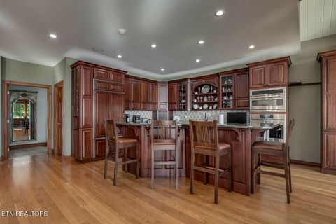 Tiny photo for 135 Big Water Drive, Vonore, TN 37885 (MLS # 1320188)