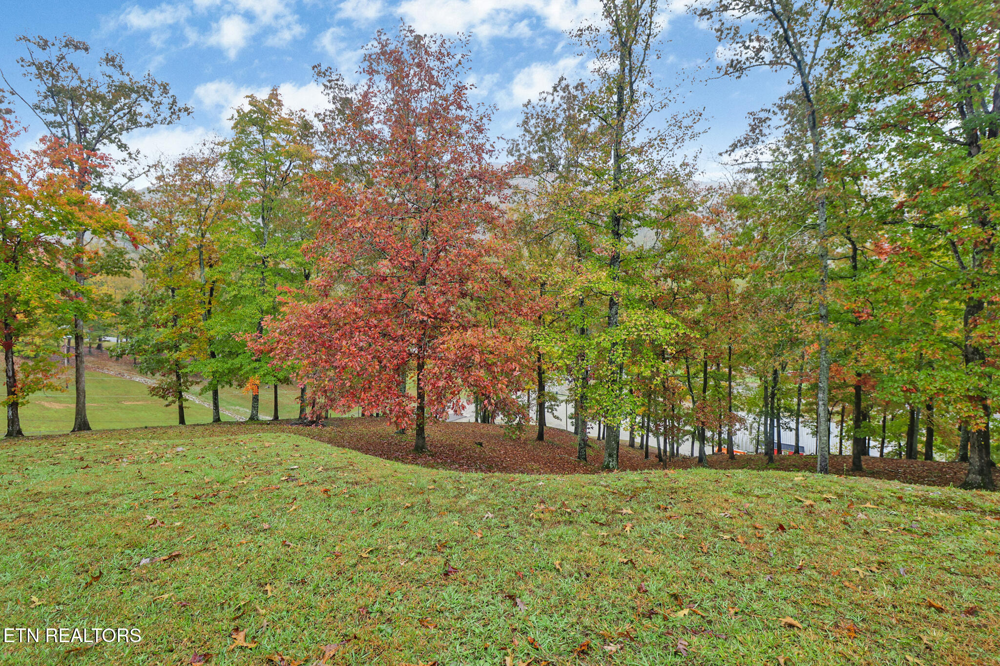 374 Morgan County Hwy