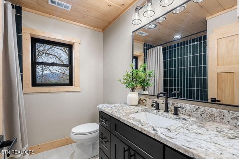 Tiny photo for 3157 Wears Drive Dr, Sevierville, TN 37862 (MLS # 1323876)