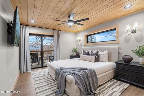 Tiny photo for 3157 Wears Drive Dr, Sevierville, TN 37862 (MLS # 1323876)