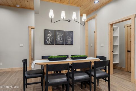 Tiny photo for 3157 Wears Drive Dr, Sevierville, TN 37862 (MLS # 1323876)