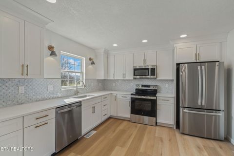 Tiny photo for 456 Tyler Drive, Dandridge, TN 37725 (MLS # 1323436)