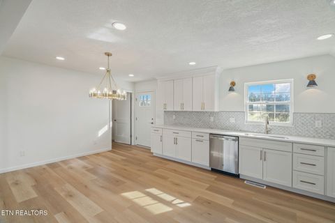 Tiny photo for 456 Tyler Drive, Dandridge, TN 37725 (MLS # 1323436)