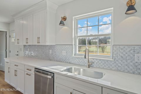 Tiny photo for 456 Tyler Drive, Dandridge, TN 37725 (MLS # 1323436)