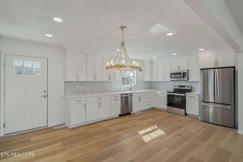 Tiny photo for 456 Tyler Drive, Dandridge, TN 37725 (MLS # 1323436)