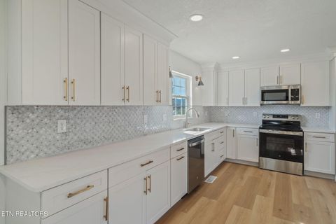 Tiny photo for 456 Tyler Drive, Dandridge, TN 37725 (MLS # 1323436)