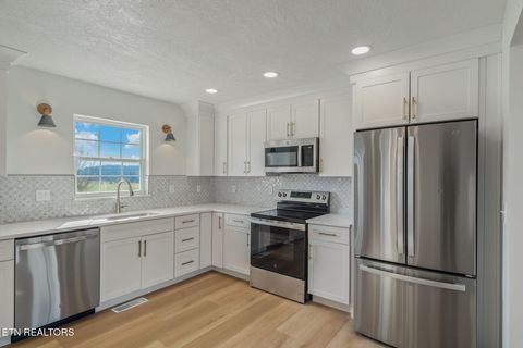 Tiny photo for 456 Tyler Drive, Dandridge, TN 37725 (MLS # 1323436)