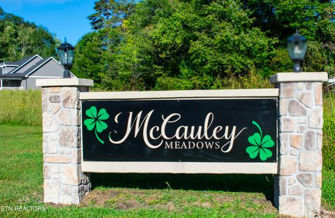 Tiny photo for 1006 Rachel Drive, White Pine, TN 37890 (MLS # 1318472)