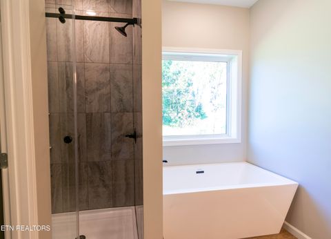 Tiny photo for 1006 Rachel Drive, White Pine, TN 37890 (MLS # 1318472)