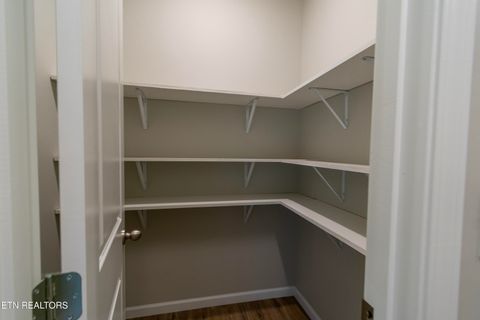 Tiny photo for 1006 Rachel Drive, White Pine, TN 37890 (MLS # 1318472)