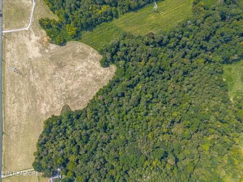 Tiny photo for 103 Washington Pike, Luttrell, TN 37779 (MLS # 1353941)
