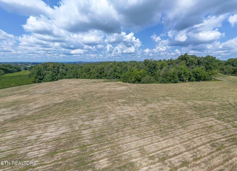 Tiny photo for 103 Washington Pike, Luttrell, TN 37779 (MLS # 1353941)
