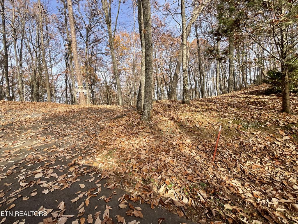 Photo of Boogertown Rd, Sevierville, TN 37876 (MLS # 1248823)