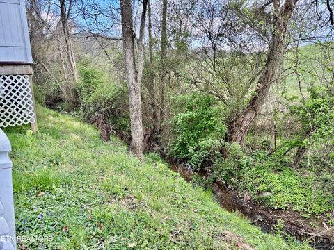 Tiny photo for 126 Larkspur Drive, Andersonville, TN 37705 (MLS # 1334842)