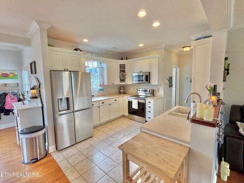 Tiny photo for 126 Larkspur Drive, Andersonville, TN 37705 (MLS # 1334842)