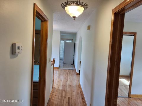 Tiny photo for 3003 Eloise Drive, Morristown, TN 37814 (MLS # 1320068)