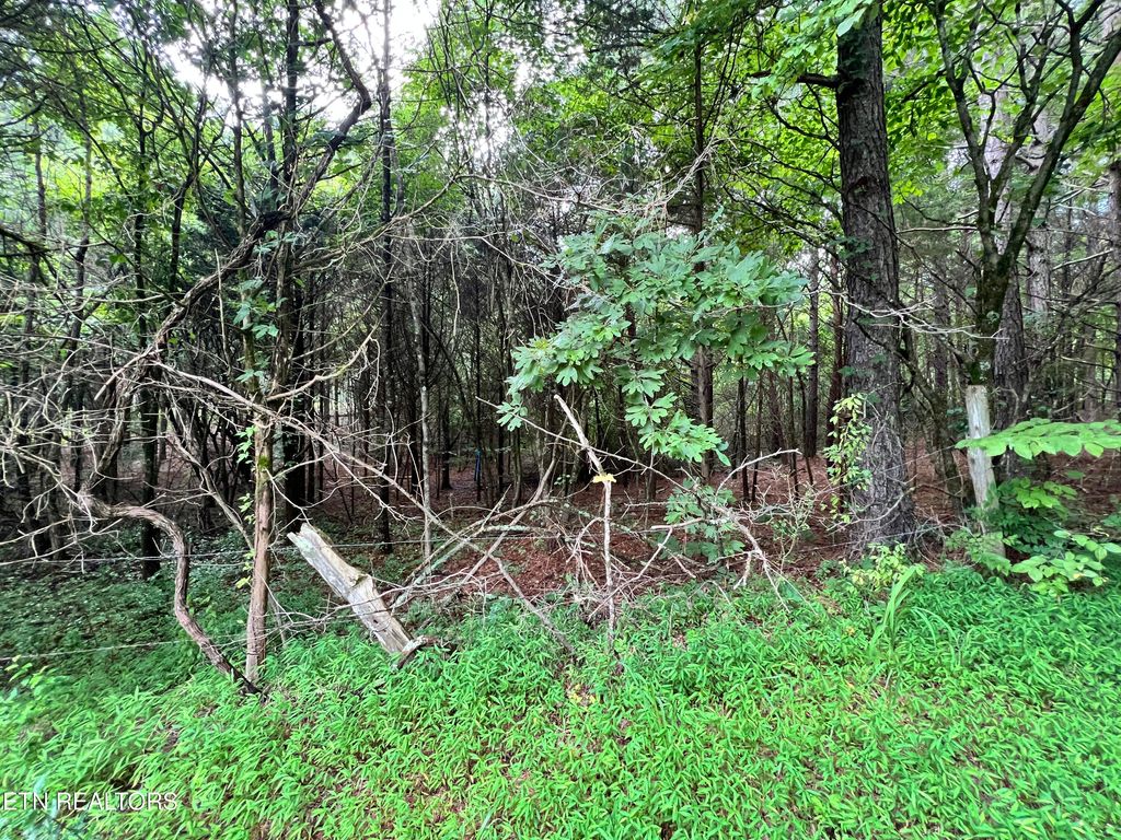 Photo of Lot 7 Willie Prigmore Rd, Decatur, TN 37322 (MLS # 1310666)