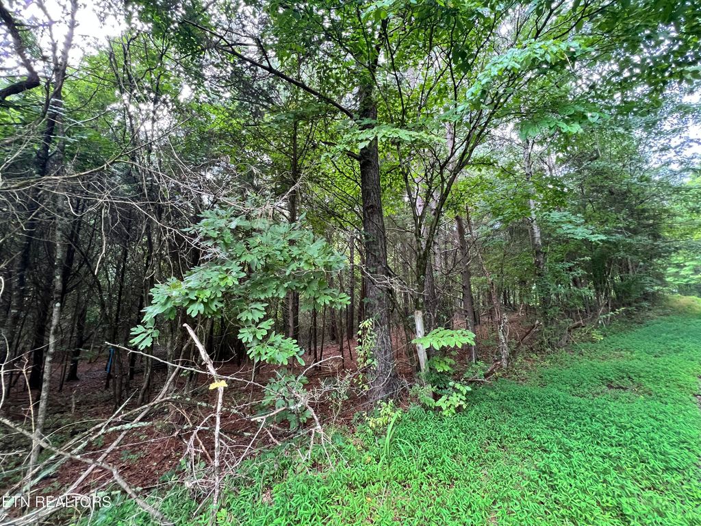 Photo of Lot 7 Willie Prigmore Rd, Decatur, TN 37322 (MLS # 1310666)