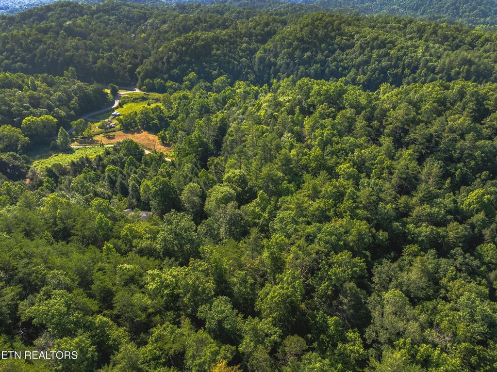 Photo of Boyd Way, Cosby, TN 37722 (MLS # 1306422)