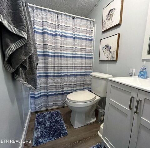 Tiny photo for 546 Shawnee Drive, Jacksboro, TN 37757 (MLS # 1336273)