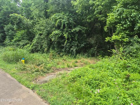 Waynewood Drive Knoxville TN 37912