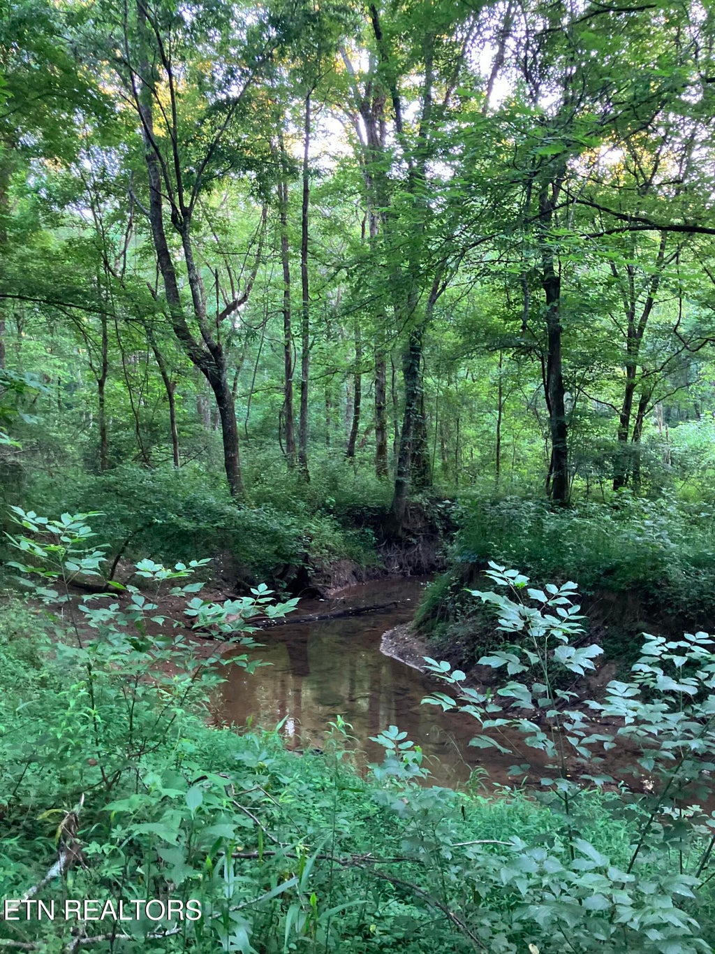 Photo of 10 Holly Drive, Pikeville, TN 37367 (MLS # 1344623)
