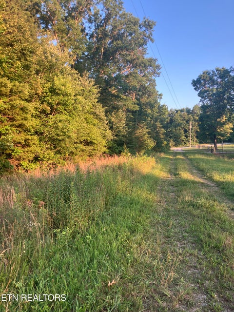 Photo of 10 Holly Drive, Pikeville, TN 37367 (MLS # 1344623)
