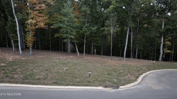 337 FLIP FLOP WAY, LOUDON, TN 37774 - Image 7ea9ddb6b6d0ecc6e5926263a54cfeee/1394648397