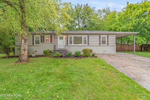 Photo of 1005 Bardill Lane, Knoxville, TN 37919 (MLS # 1342391)