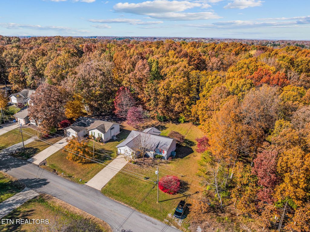 Photo of 165 Tulip Drive, Crossville, TN 38555 (MLS # 1321156)