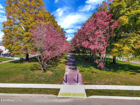 Tiny photo for 11910 Sandy Run Rd, Knoxville, TN 37934 (MLS # 1330352)