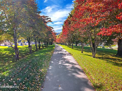 Tiny photo for 11910 Sandy Run Rd, Knoxville, TN 37934 (MLS # 1330352)