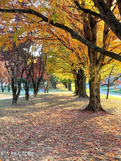 Tiny photo for 11910 Sandy Run Rd, Knoxville, TN 37934 (MLS # 1330352)