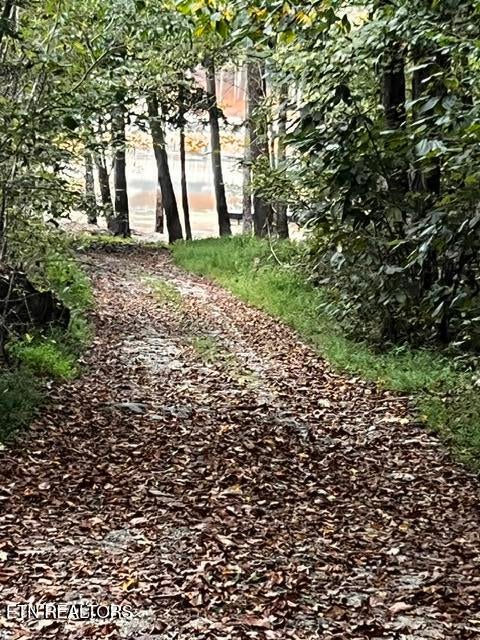 Yoakum Hollow Rd